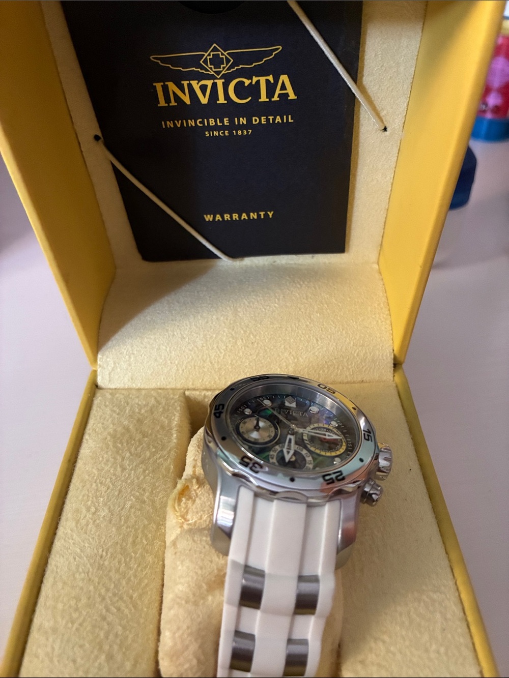 Invicta Silver Chronograph Watch with White Strap